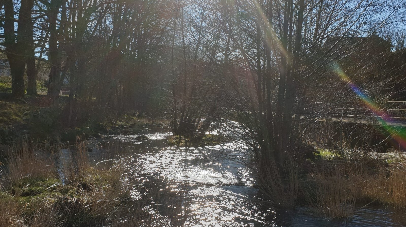 La pêche à la rivière Agout à La Salvetat-sur-Agout